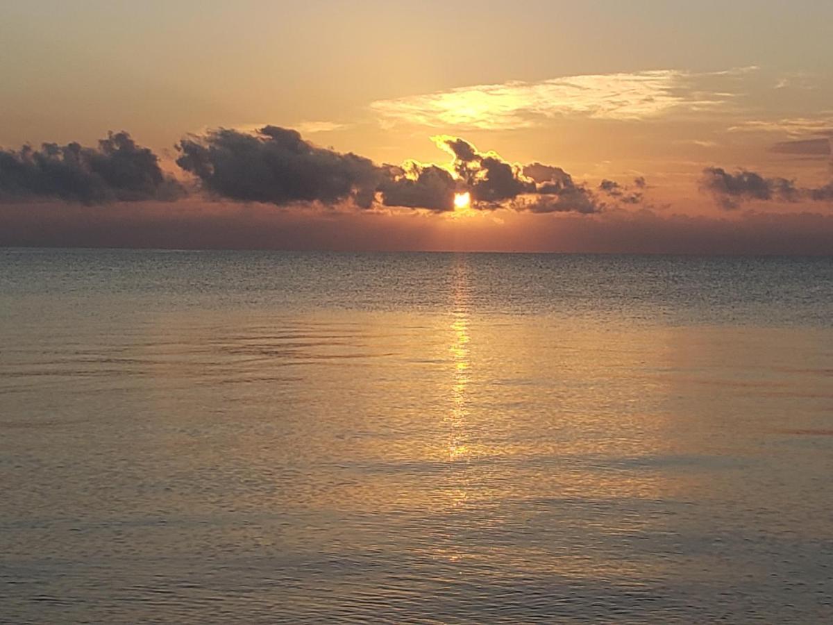 Pal'S On The Beach - Dangriga, Belize Extérieur photo