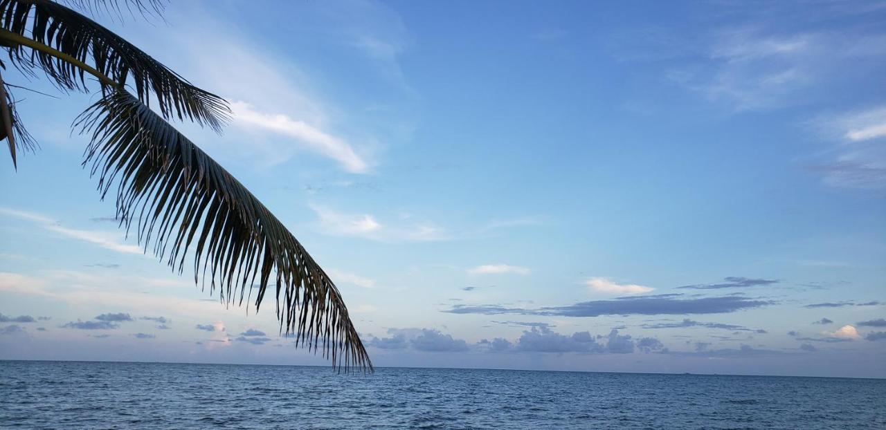 Pal'S On The Beach - Dangriga, Belize Extérieur photo