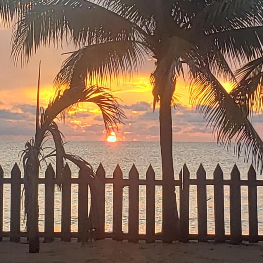 Pal'S On The Beach - Dangriga, Belize Extérieur photo