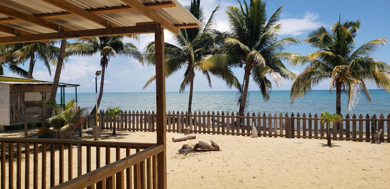 Pal'S On The Beach - Dangriga, Belize Extérieur photo