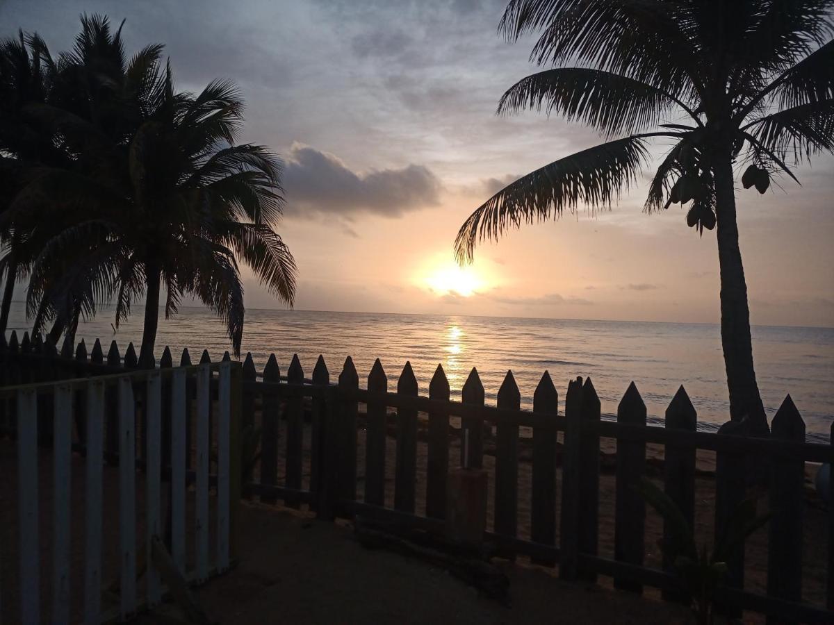Pal'S On The Beach - Dangriga, Belize Extérieur photo