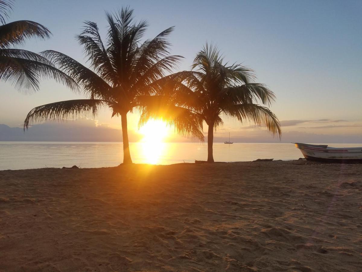 Pal'S On The Beach - Dangriga, Belize Extérieur photo