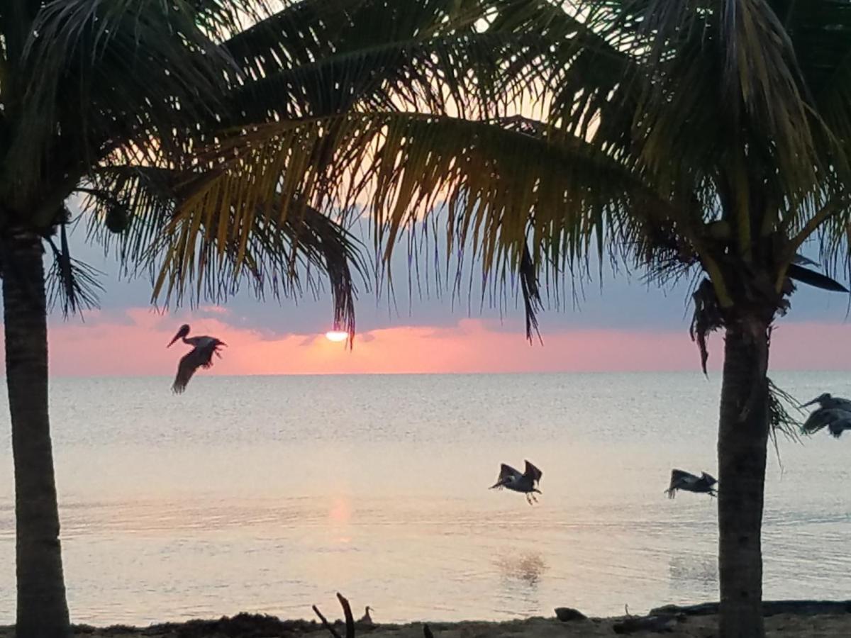 Pal'S On The Beach - Dangriga, Belize Extérieur photo