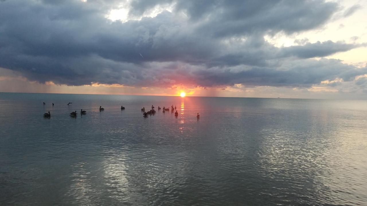 Pal'S On The Beach - Dangriga, Belize Extérieur photo