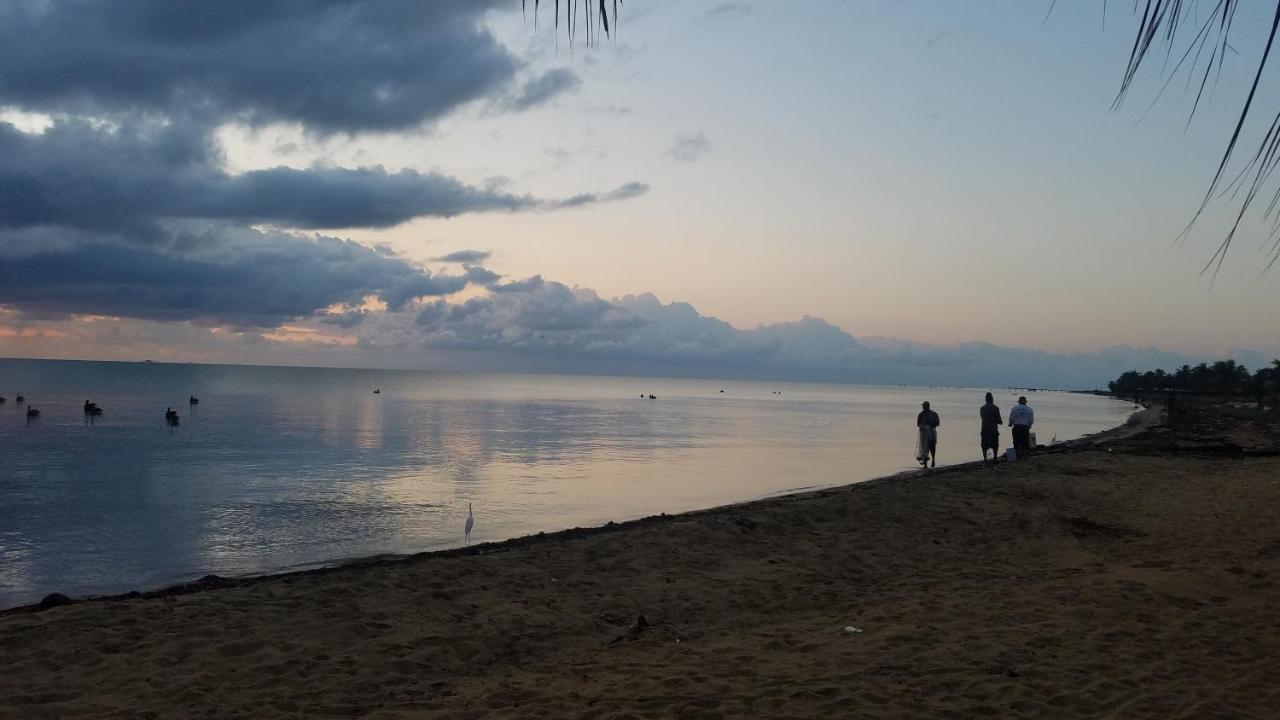 Pal'S On The Beach - Dangriga, Belize Extérieur photo