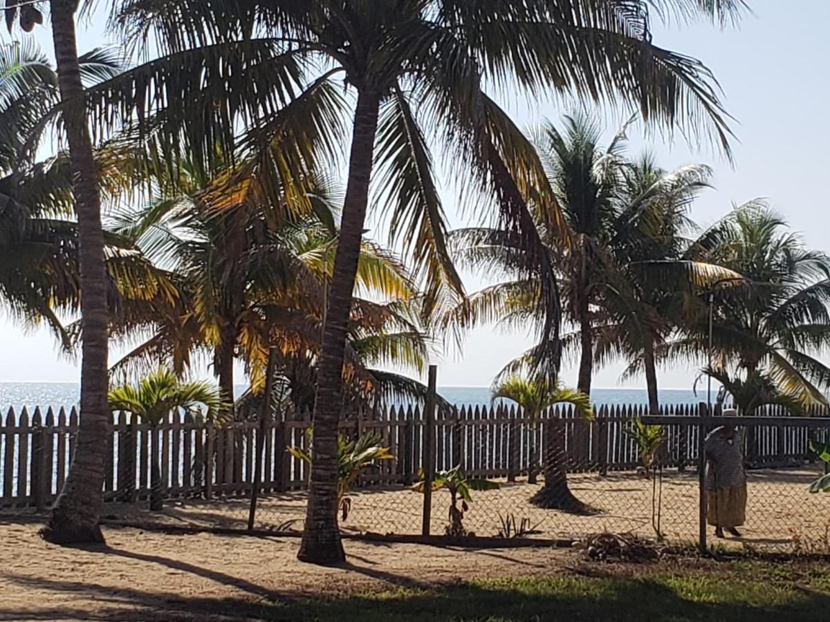 Pal'S On The Beach - Dangriga, Belize Extérieur photo